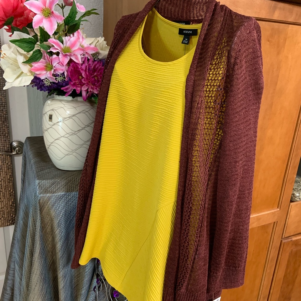 Alfani Sweater